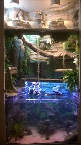 Combinatie Van Baardagamen Terrarium Bovenin Daaronder Een Chinese Wateragamen Terrarium En Ee Bearded Dragon Terrarium Bearded Dragon Habitat Reptile Habitat