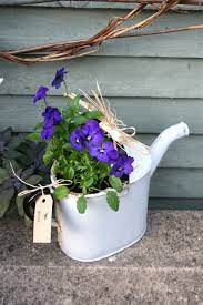 Flower Garden Garden Containers Pansies Watering Can