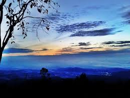 5,014 likes · 32 talking about this. Pos Mawar Kebun Kopi Kebun Teh Promasan Umbul Sidomukti Jejak Si Olipe