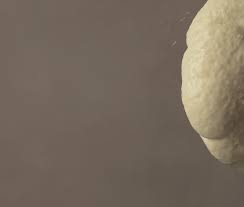 the University of Groningen research portal - Rijksuniversiteit Groningen