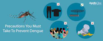 Here are a few tips on how one can keep mosquitos away from the house Precautions You Must Take To Prevent Dengue Apollo Clinic Blog