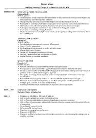 Call center quality analyst resume examples & samples understanding of effective communication concepts, tools and techniques; Quality Leader Resume Samples Velvet Jobs