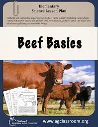 Elementary Lesson Plan About Beef Cattle Learn The Production Process From Farm To Agriculture Education Lessons Farm Lessons Science Lesson Plans Elementary