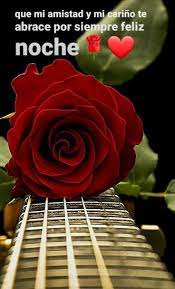 QUE MI AMISTAD Y MI CARIÑO TE ABRACE... - Flores del campo | Facebook