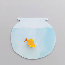 Stop Motion Animation Of A Gold Fish Swimming In A Bowl Video By Trisha Zemp Gold Fish Swimming In 2020 Animation Stop Motion Motion Design Animation Stop Motion
