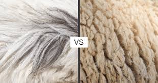 Cashmere Scarves ...