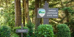 This is a nice campground with small campsites. Umpqua Lighthouse State Park Campground Outdoor Project