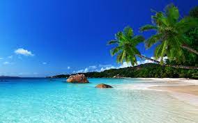 A collection of the top 62 tropical island wallpapers and backgrounds available for download for free. 69 Tropical Island Backgrounds On Wallpapersafari