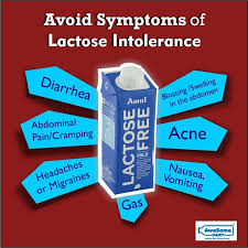 Check spelling or type a new query. Being A Lactose Intolerant Is Not A Good News For Anyone But By Drinking Lactose Free Milk You Can Easily Beat All The Mi Lactose Free Milk Amul Lactose Free