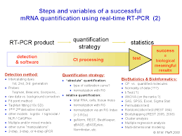 Both techniques have their caveats. Gene Quantification Optimisation Real Time Kinetic Pcr Rt Pcr Reactions
