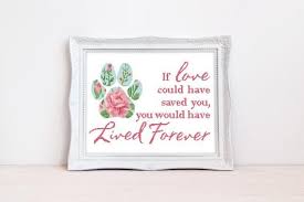 Unique cross stitch patterns for modern cross stitchers. Pet Memorial Cross Stitch Pattern Pet Loss Cross Stitch Floral Etsy Cross Stitch Patterns Cross Stitch Pet Memorials