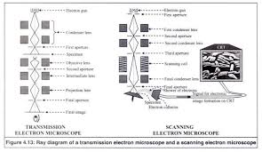 Working Principle Of A Electron Microscopes With Diagram