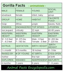 Gorilla Facts Animal Facts Encyclopedia