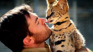 Ben Britton's wild adventures