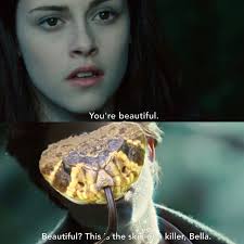 Anyone able to tell me what this beauty is? Sorry for the bad photo