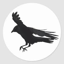 Flying Landing Black Crow Art Classic Round Sticker Zazzle Com In 2020 Crow Art Art Crow Once upon a midnight dreary, while i pondered, weak and weary, over many a quaint and curious volume of forgotten lore, while i nodded, nearly napping, suddenly there came a tapping, as of some one gently rapping, rapping at my chamber door. pinterest