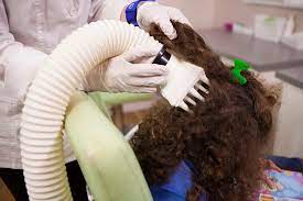 Have otc lice treatment products let you down? Lice Removal Clinic Lice Treatment Pasadena Tx