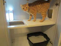 Our Amazing Hidden Litterbox Meow And Later Hidden Litter Boxes Litter Box Cat Diy