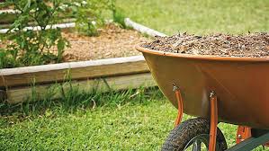 About 3 inches of mulch is recommended for beds, and becker recommends mulching twice a year. Everything Need To Know About Mulch Bunnings Australia