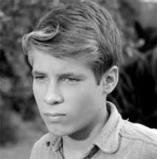 Television's New Frontier: The 1960s: Death Valley Days (1960)