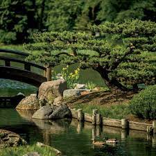 Rocks are thought to be the bones of the earth, an The Japanese Garden In Jackson Park Chicago Magazine
