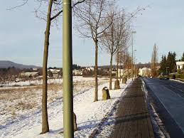 Beuys pflanzte mit der hilfe von freiwilligen helfern im verlauf mehrerer jahre 7000 bäume zusammen mit jeweils einem. Datei Kassel Beuys 7000 Eichen Wegmann V O Jpg Wikipedia