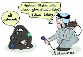 الليبرالي يتجاهل معاناة النساء من الفقر والبطالة والعضل والظلم ويتفرغ للنيل من حجايها comics memes ecard meme
