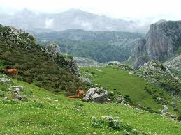 The western region of asturias and especially the picos de europa national park offer you the possibility to enjoy different active tourism activities as well . Bergtour Picos De Europa Lagos De Covadonga Tour 57716