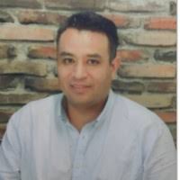 800+ "Olalde" profiles