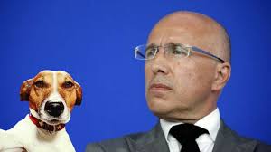 Qui est Douglas, le petit chien adhérent des Républicains ?