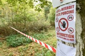 Tja, probeer inderdaad maar eens met wat kilootjes marokkaanse hasj over de weg via spanje en frankrijk in belgië (of nederland for that matter) te komen als de grenzen zo goed als. Frankrijk Gaat Afsluiting Plaatsen Op Grens Met Belgie Het Nieuwsblad Mobile