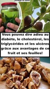 Pin On Feuille De Figuier Tisane