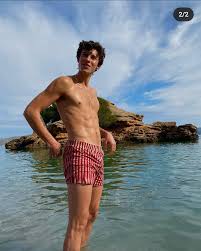 Shawn Mendes and his recent IG post : rLadyBoners