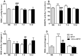 Plos One The Antioxidative Effect Of Electro Acupuncture In A Mouse Model Of Parkinson S Disease