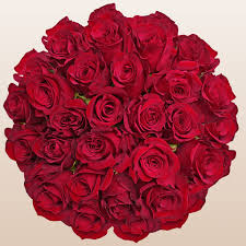 Red Roses – EbloomsDirect