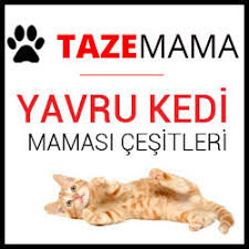 Proplan Yavru Kedi Mamasi Cesitleri Icerikleri Nasil Pro Plan