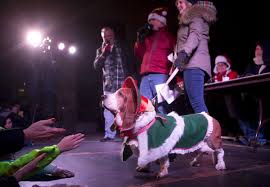 Pet owners deck their dogs for Dickens of a Christmas costume contest