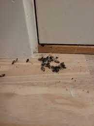 Image result for site:byggahus.se inomhus