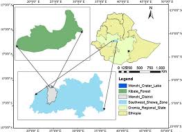 Image result for Mikaniopsis