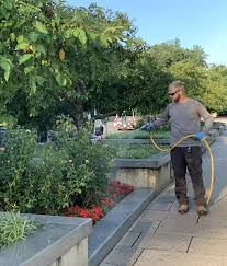 A tenant who knowingly subleases, assigns, transfers possession, or permits use of an apartment for the purpose of committing a violation of the controlled dangerous substances laws of maryland is guilty of misdemeanor punishable by a. Plant Health Care Guardians Complete Land Care