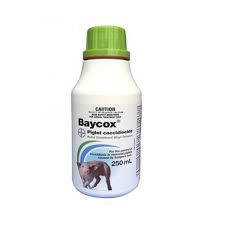 Coccidiosis is a significant disease for chickens, especially affecting the young chicks. Baycox Piglet Coccidiocide 250ml Farm Yard Supplies