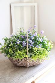 ネメシア 寄せ 植え