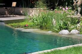 Pin Auf Schwimmteich