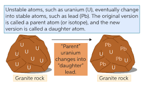 Every atom of uranium contains 92 protons (particles with positive electrical charge) in its nucleus (that is an element's. Learn About Radiometric Dating Chegg Com