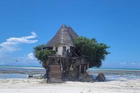 Image result for Keetia zanzibarica