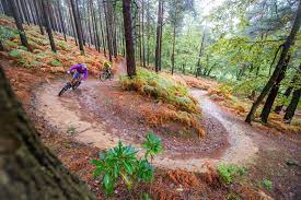 Check spelling or type a new query. Cycling Track Near Me Off 65 Medpharmres Com