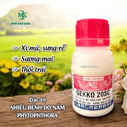 Gekko 20SC.