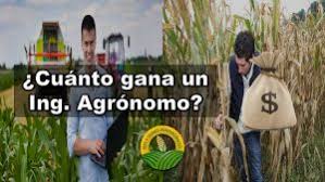 Formar ingenieros agrónomos competentes en la generación de productos agropecuarios primarios, en el diseño, organización y evaluación de sistemas de producción y sus componentes, así como asesorar en el uso de tecnologías de vanguardia. Ingeniero Agronomo Que Es Funciones Perfil Y Mas