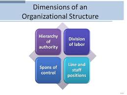 Designing Effective Organizations Ppt Video Online Download