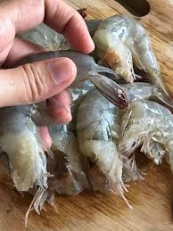 Pengelolaan air harus lebih maksimal karena dalam budidaya udang galah kualitas air merupakan faktor penentu utama dibandingkan budidaya ikan air tawar lainnya. Petua Sambal Udang Sedap Menjilat Jari